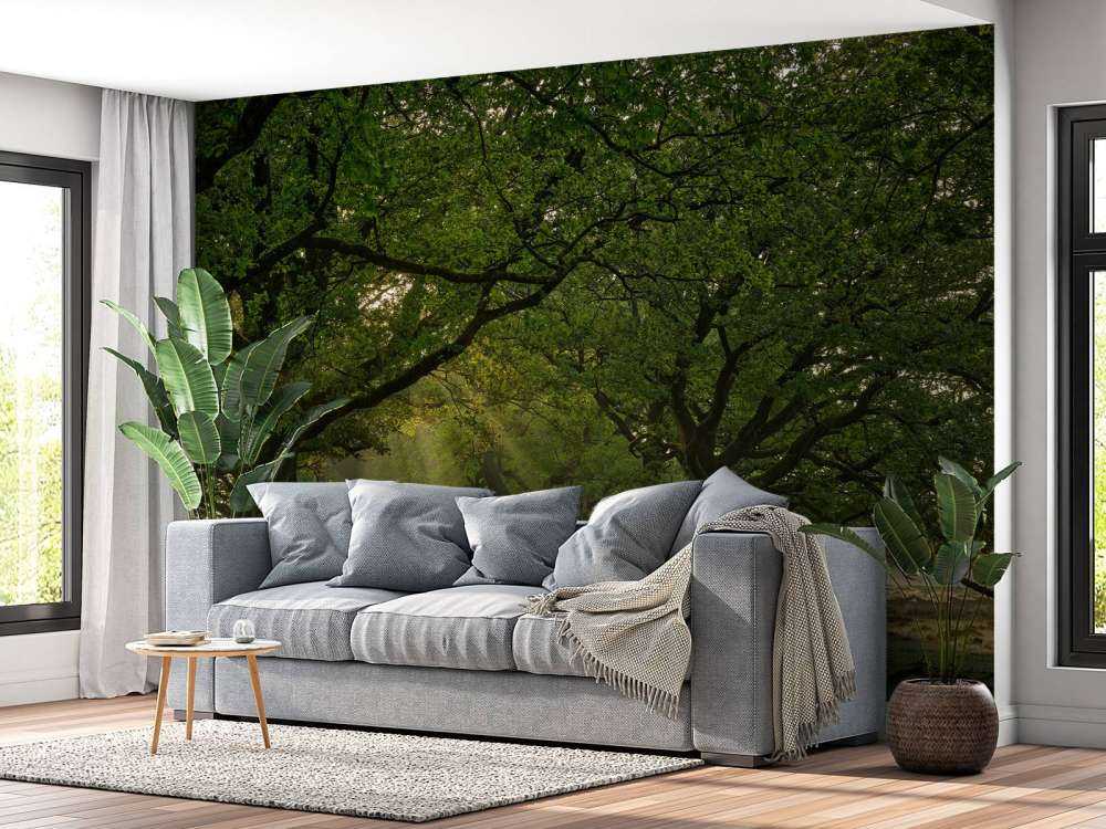 Ścieżka między dębami