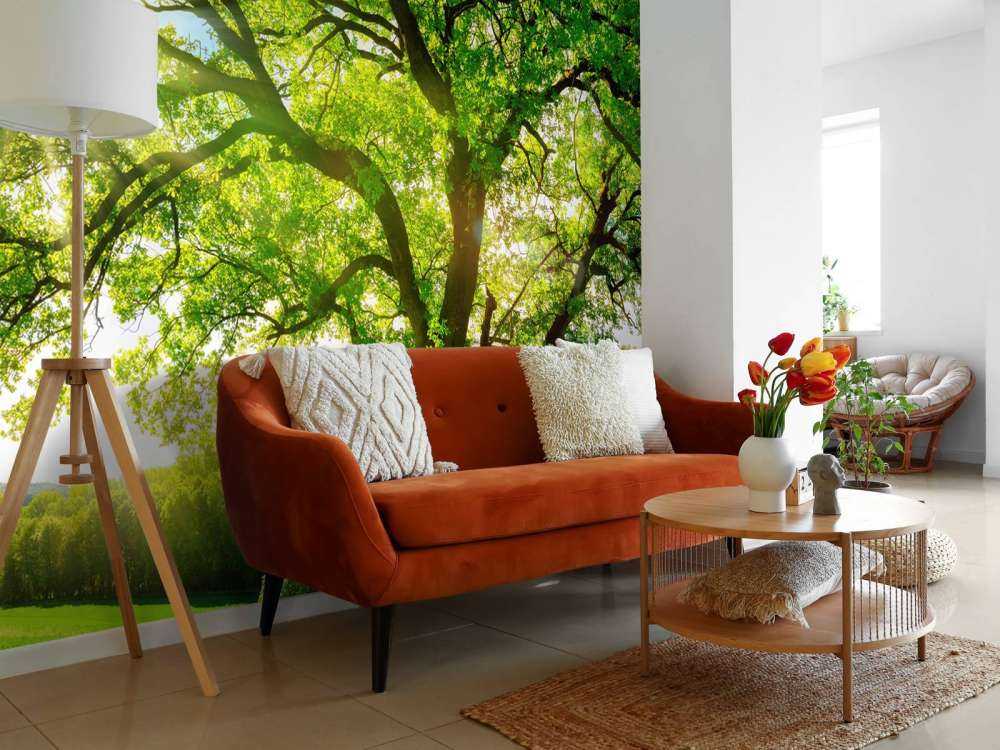 Drzewo z promieniami słońca