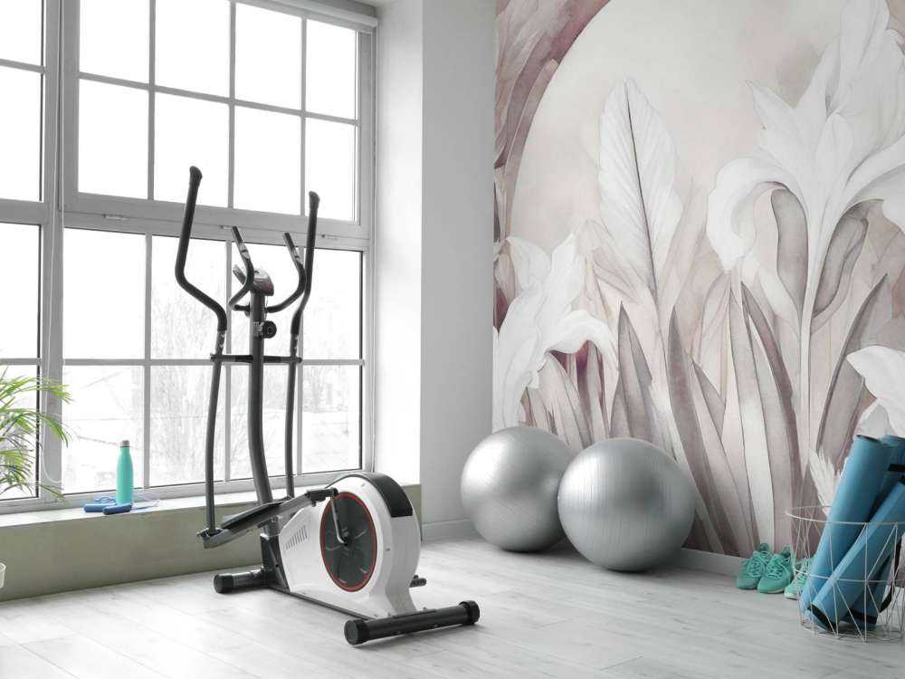 Irysy o wschodzie słońca pomarańczowe