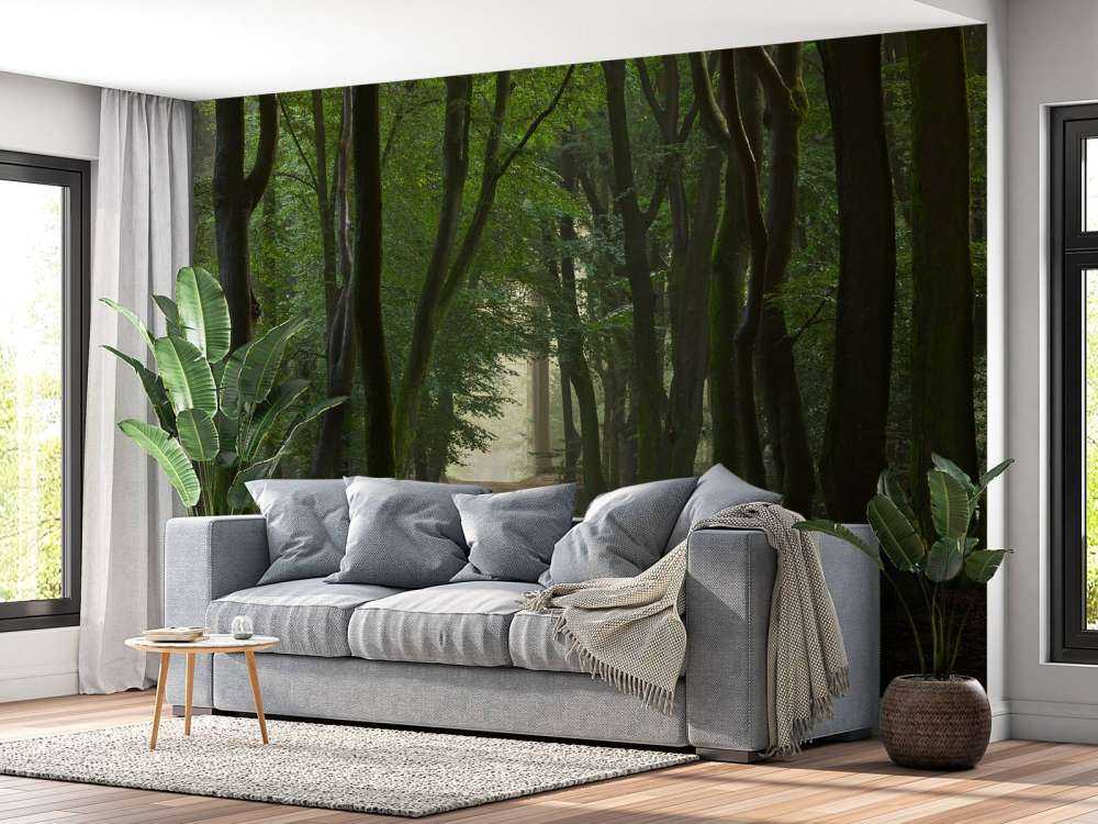 Droga piaskowa w lesie