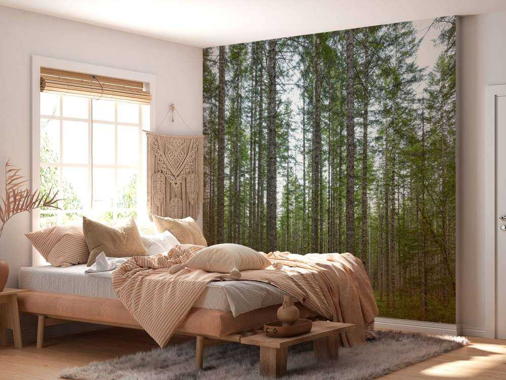 Drzewa wysoko wyprostowane