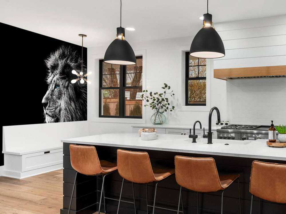 Lew z niebieskimi oczami