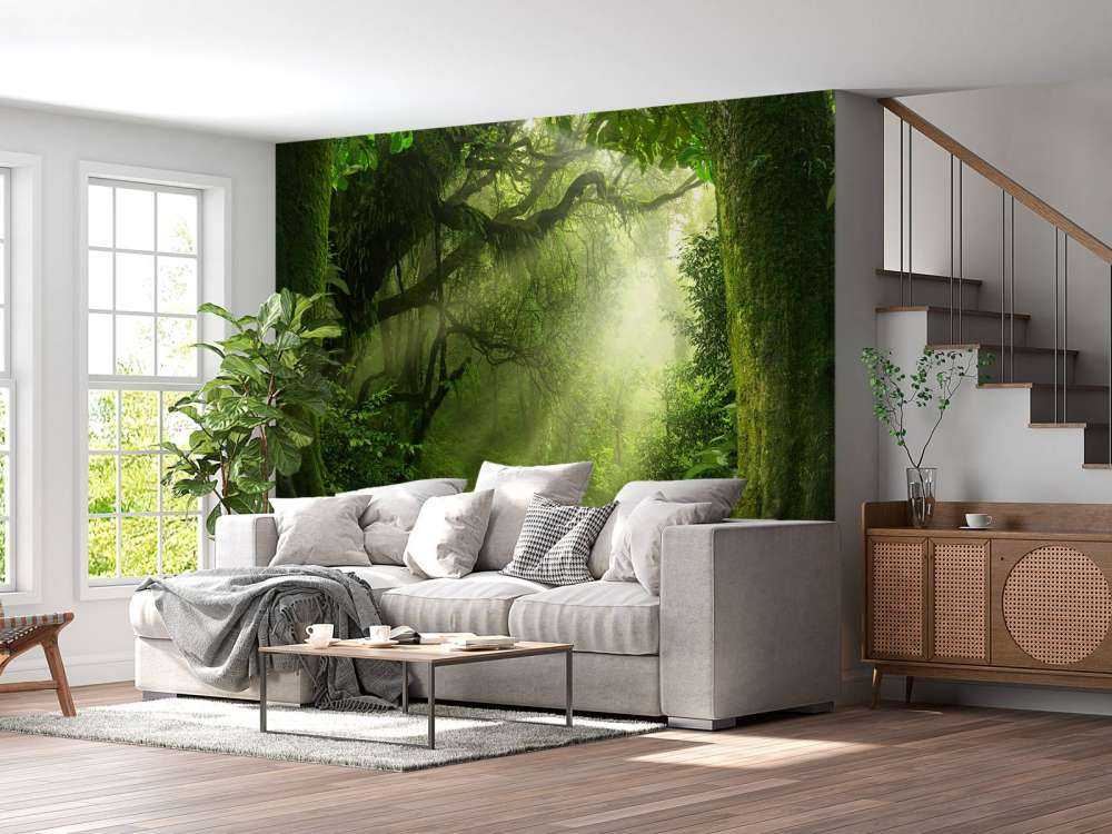 Dżungla z promieniami słońca