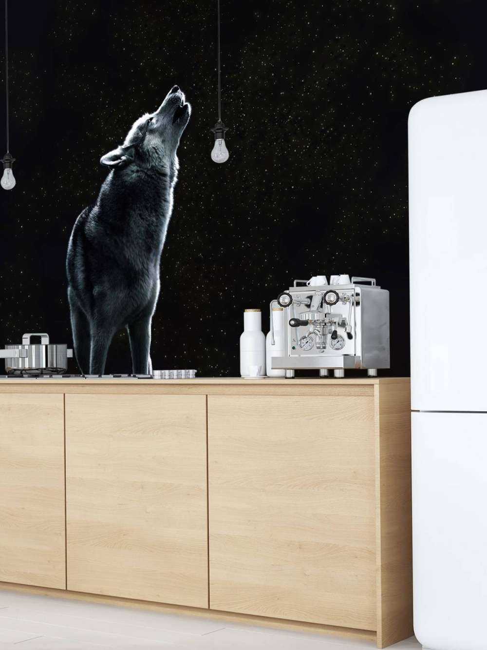 Księżyc wzywa samotnego strażnika