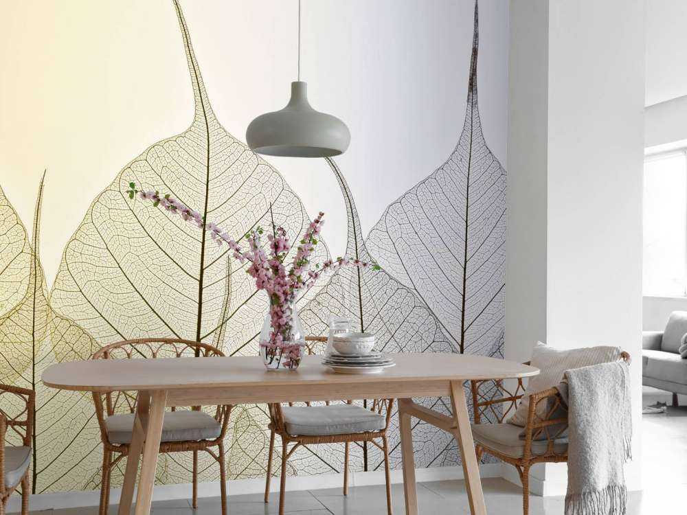 Skeleton leaves on coloured background