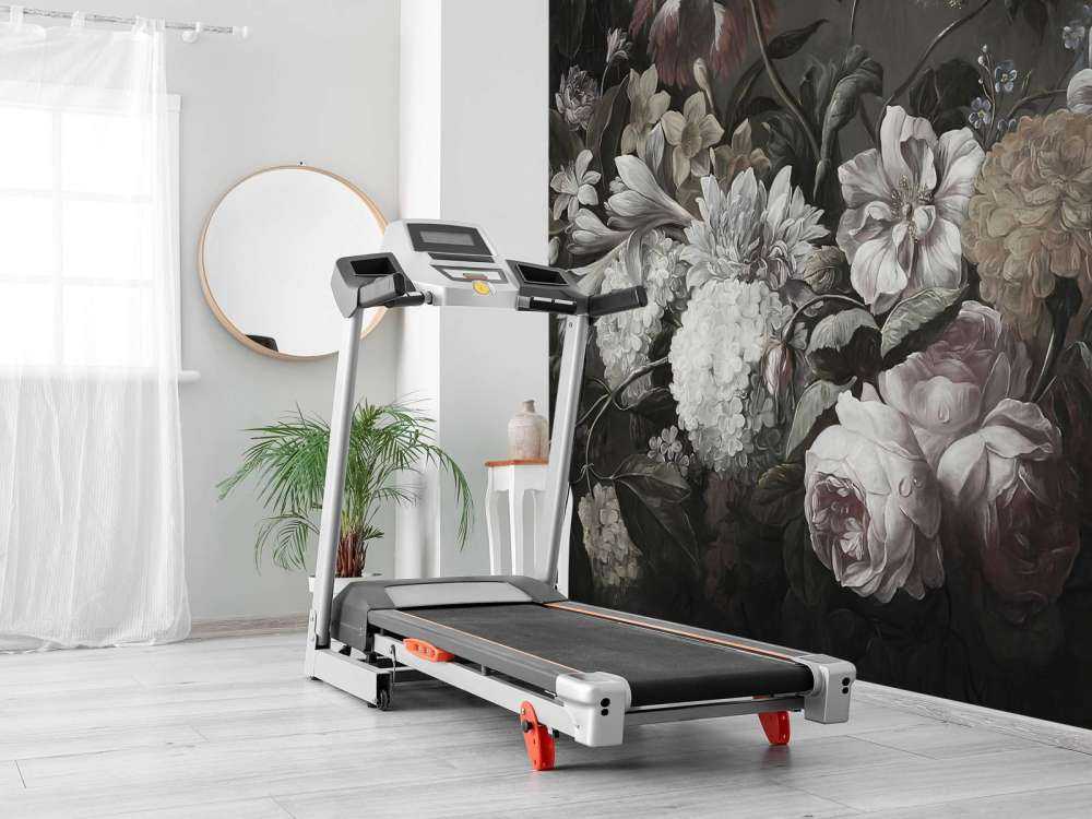 Bukiet z makami i krokusami