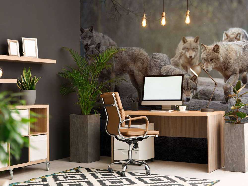 Strażnik lasu Zmierzch