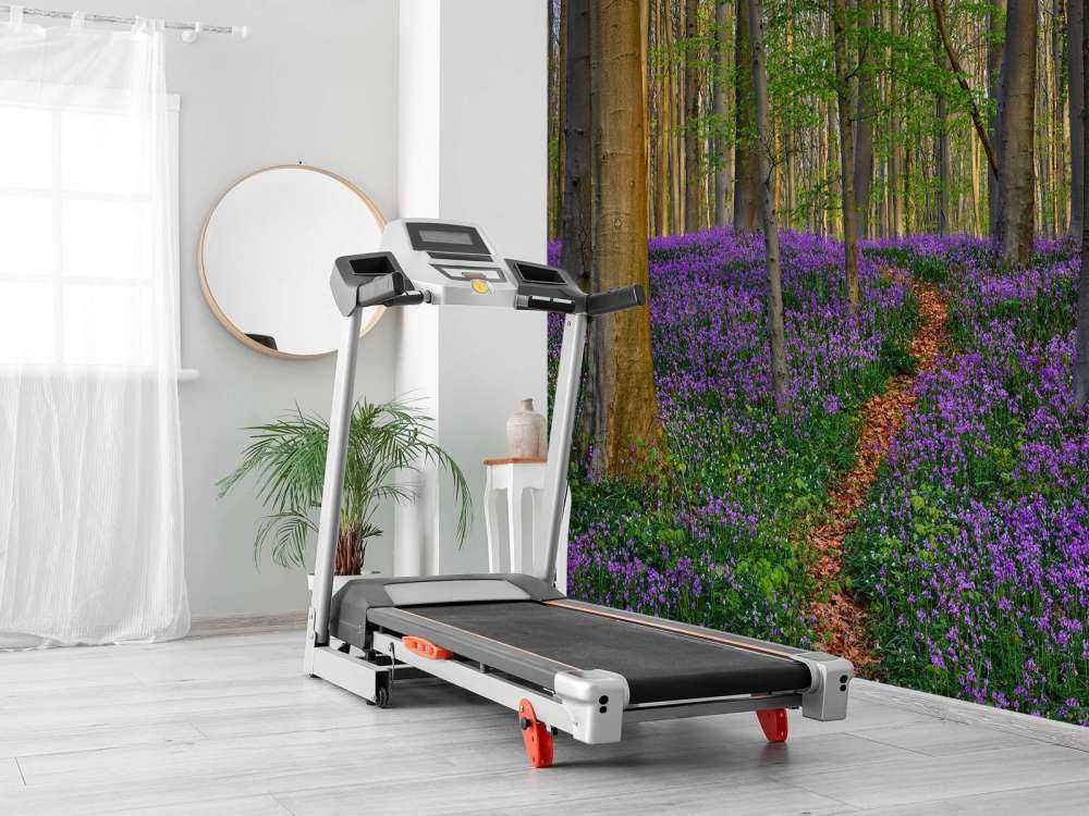 Ładna ścieżka przez las