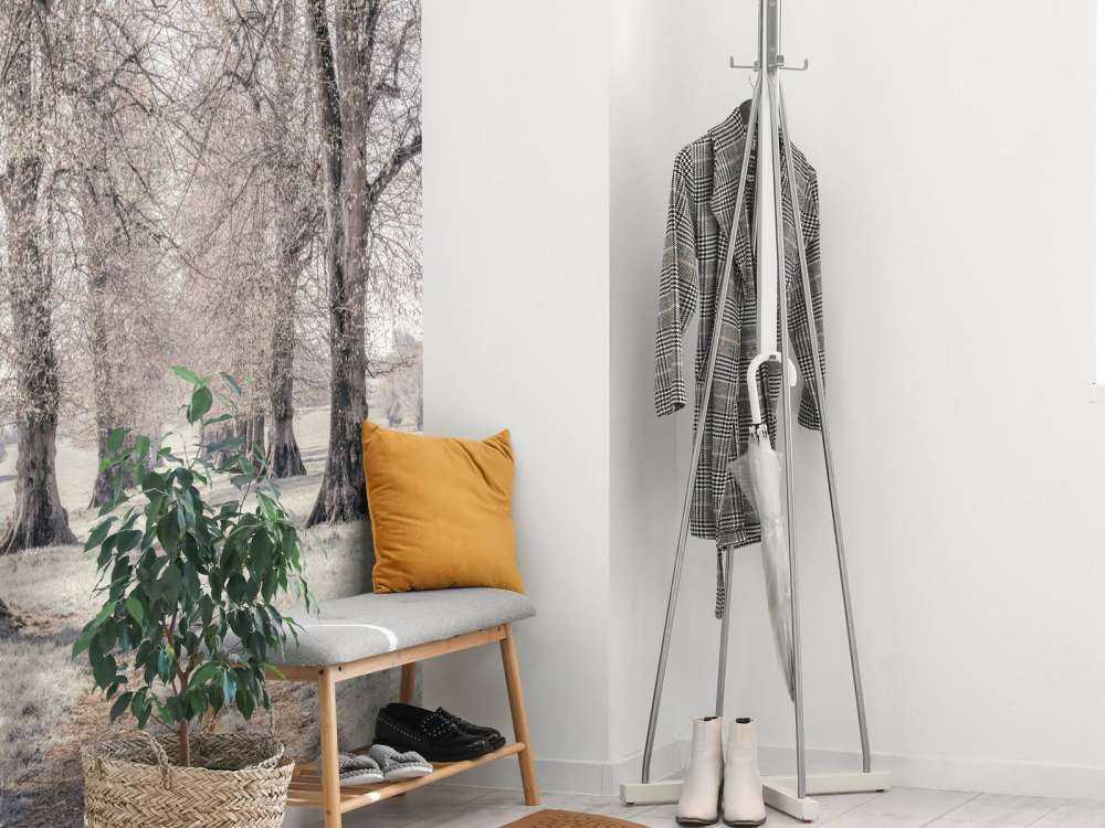 Ślady opon między drzewami