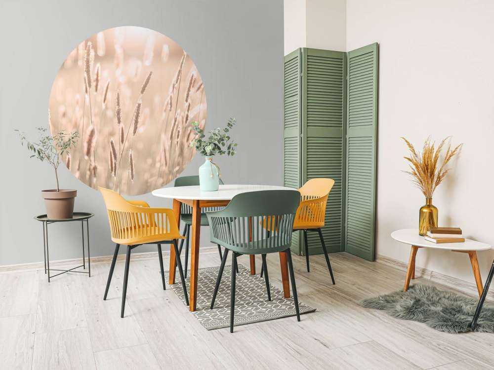 Światło słoneczne przez łąkę