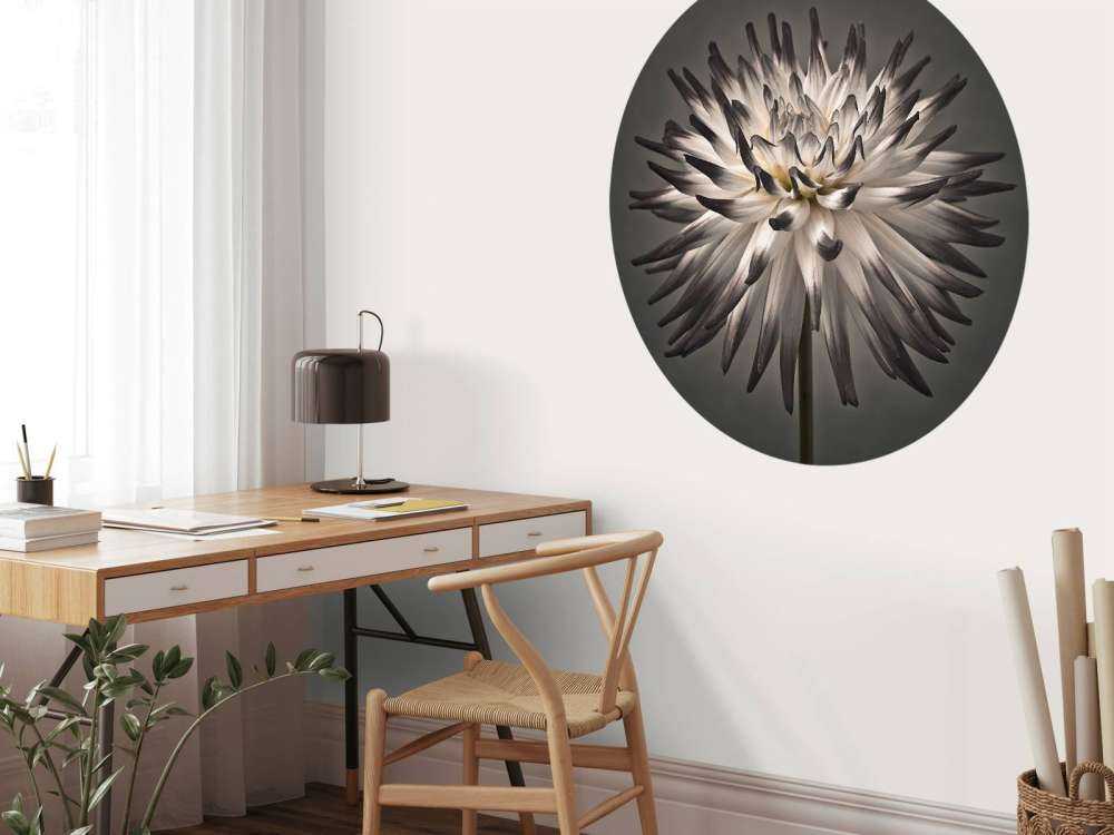 Kwiat dalii czarno-biały