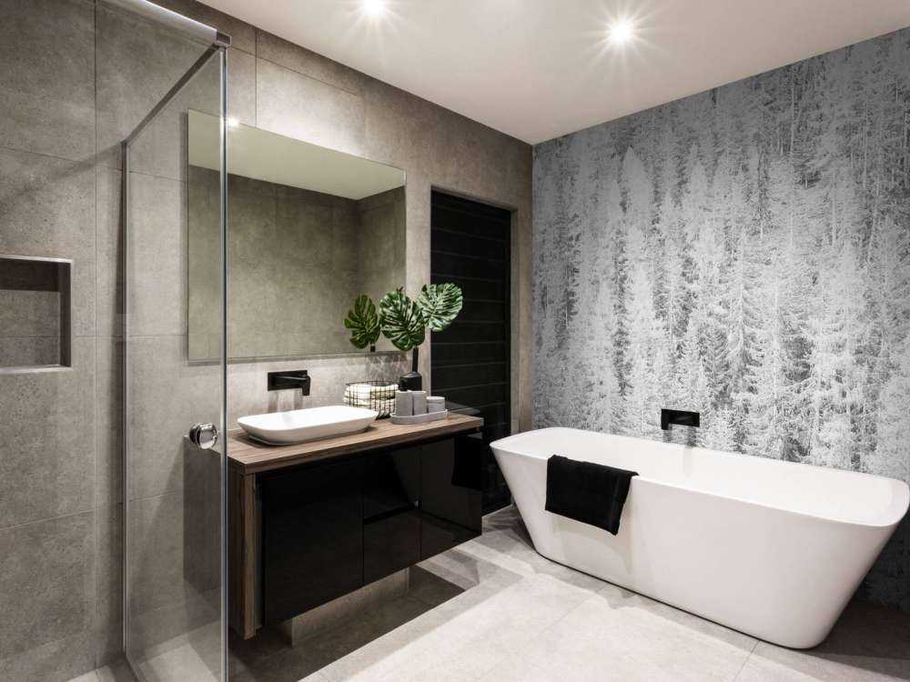 Drzewa iglaste w czerni i bieli