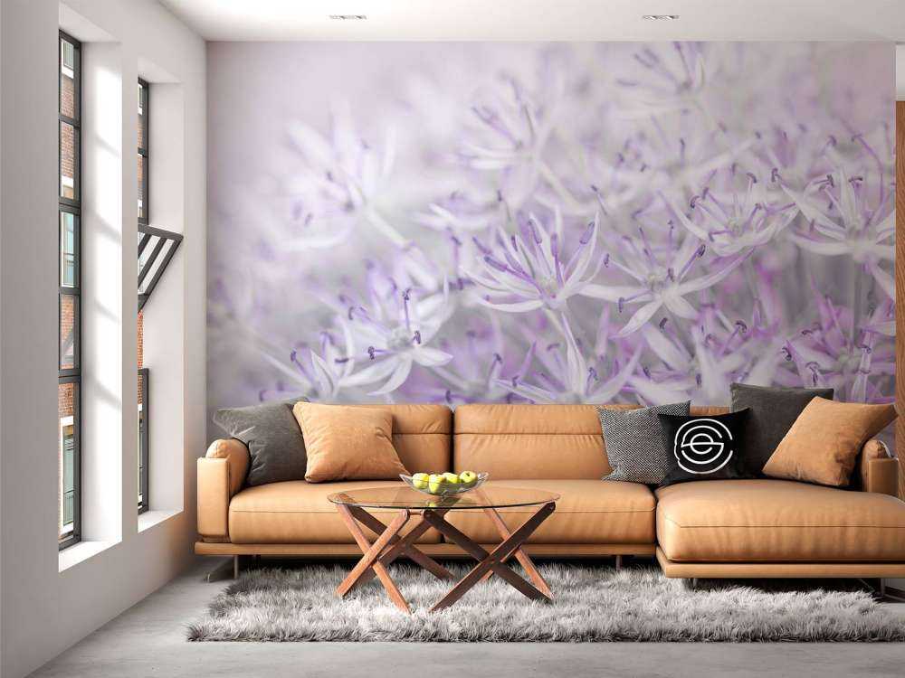 Kwiaty Allium w zbliżeniu