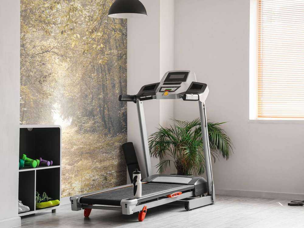 Ścieżka przez opuszczony las