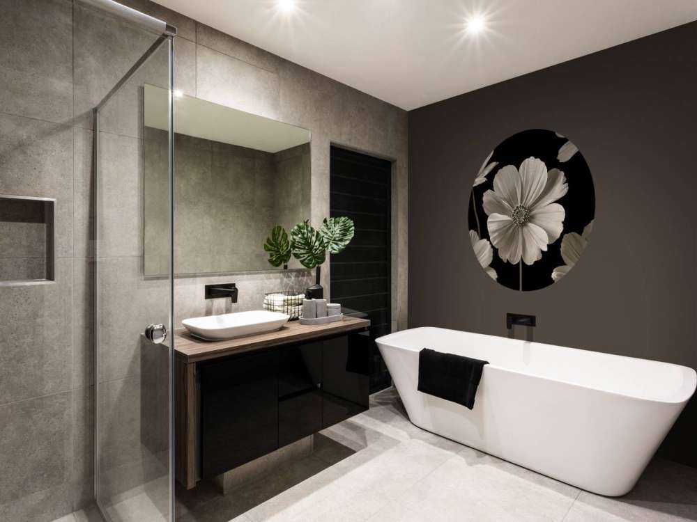 Kilka kwiatów Cosmos