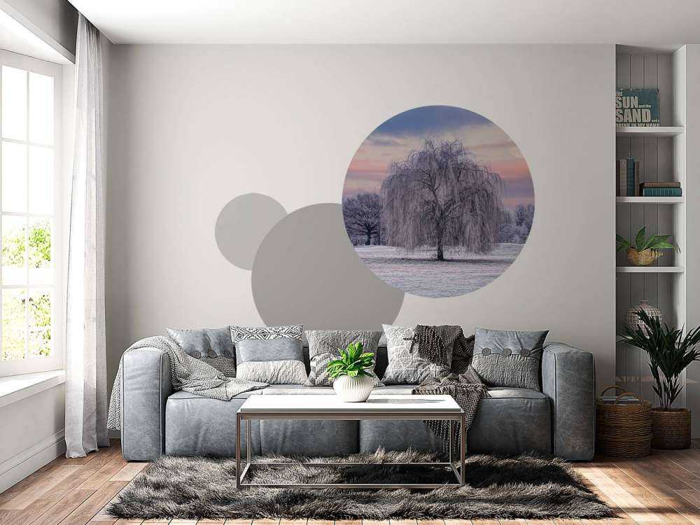 Drzewo pokryte mrozem