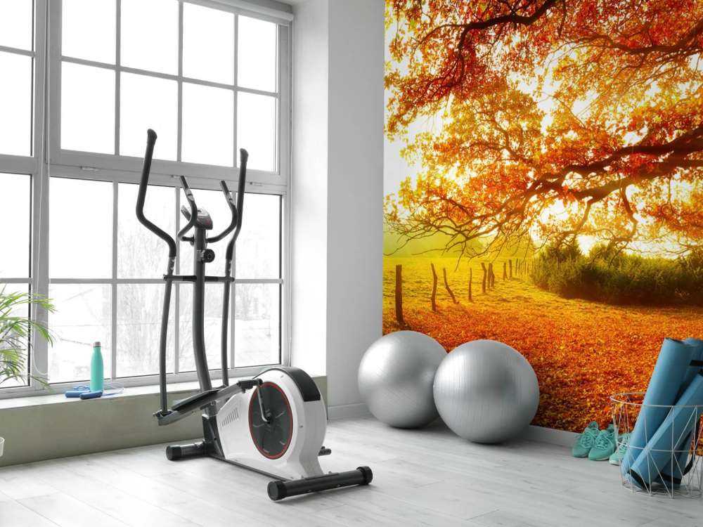 Jesienny krajobraz z lasem i łąką