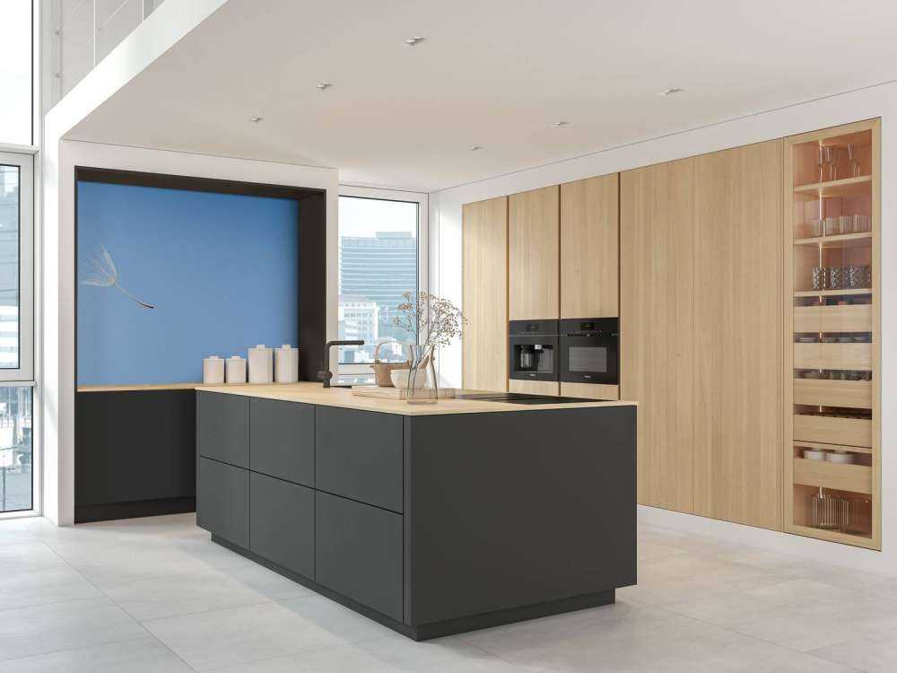 Latający puch mlecz lekarski