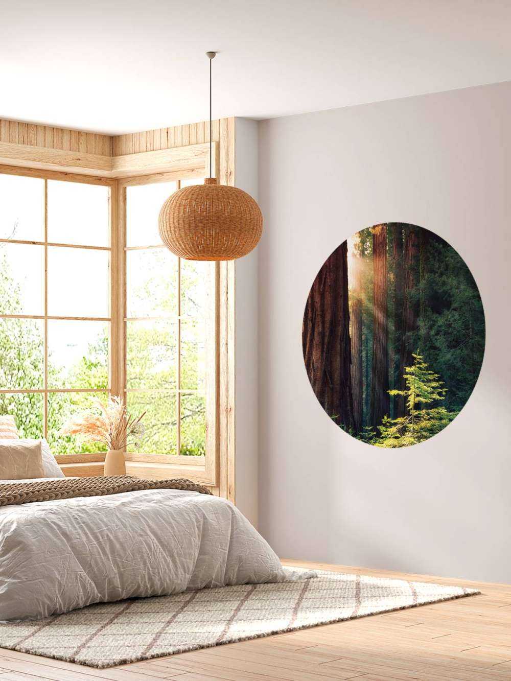 Światło słoneczne między drzewami mahoniowymi