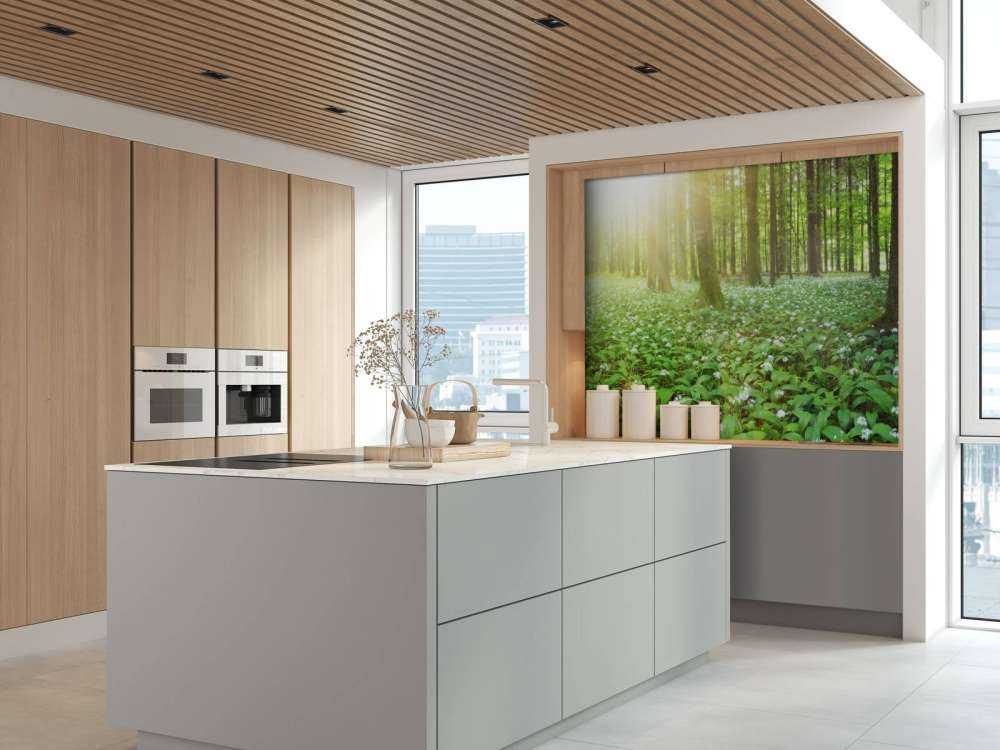 Dziki las o wschodzie słońca