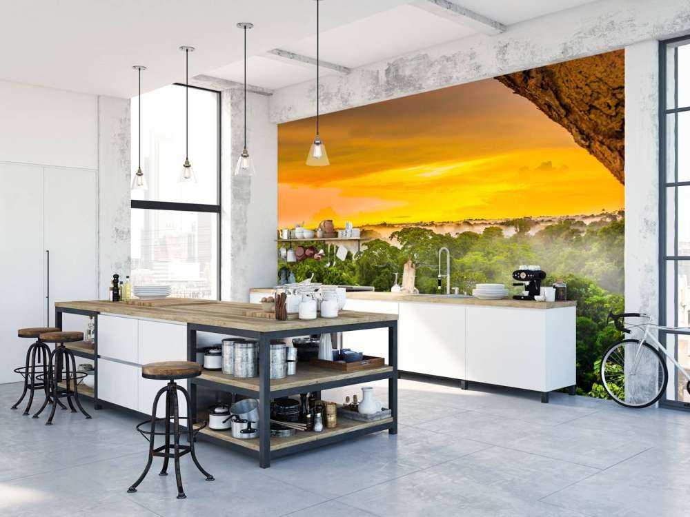 Las deszczowy w Brazylii