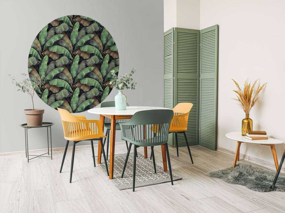 Luksusowe liście bananowca