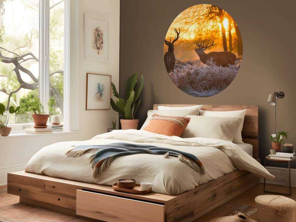 Jeleń o zachodzie słońca