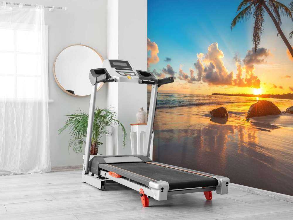 Palmy o zachodzie słońca