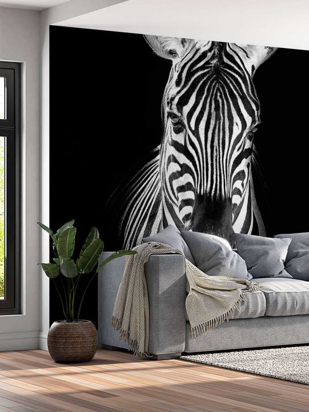 Zbliżenie na zebrę czarno-białą