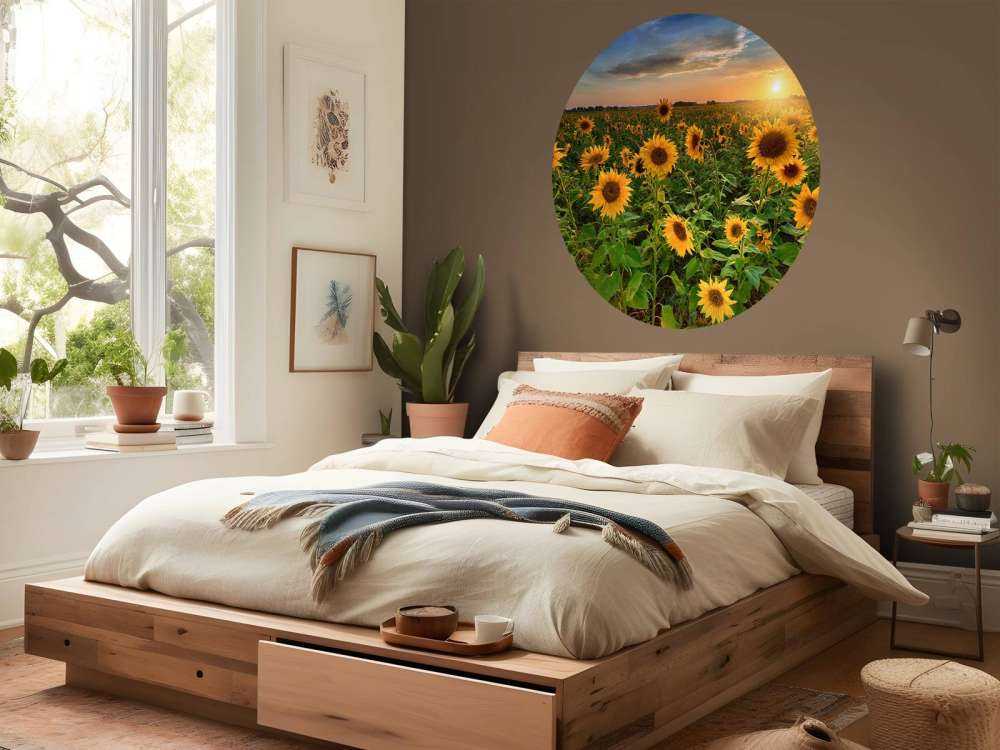 Piękne pole słoneczników