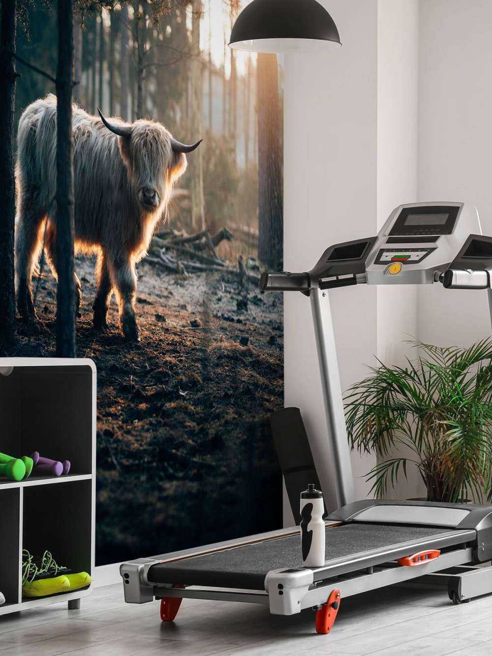 Biały szkocki wyżyn