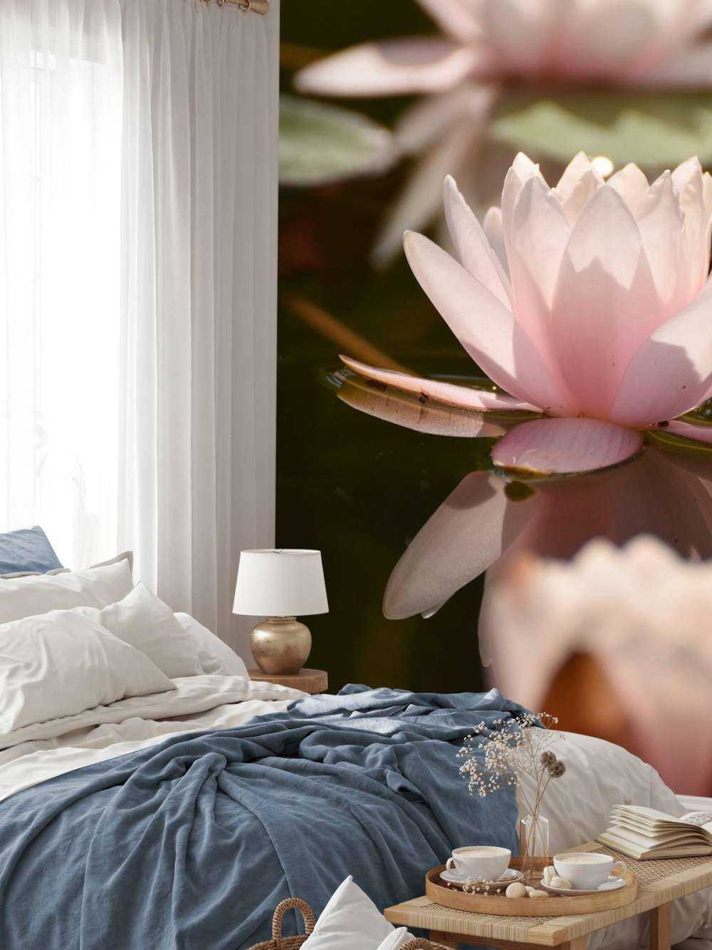 Kwiat lotosu w wodzie