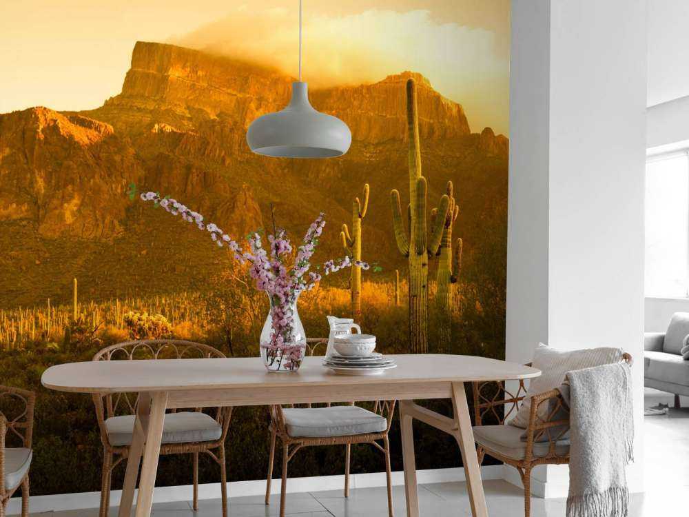 Pustynia z kaktusami