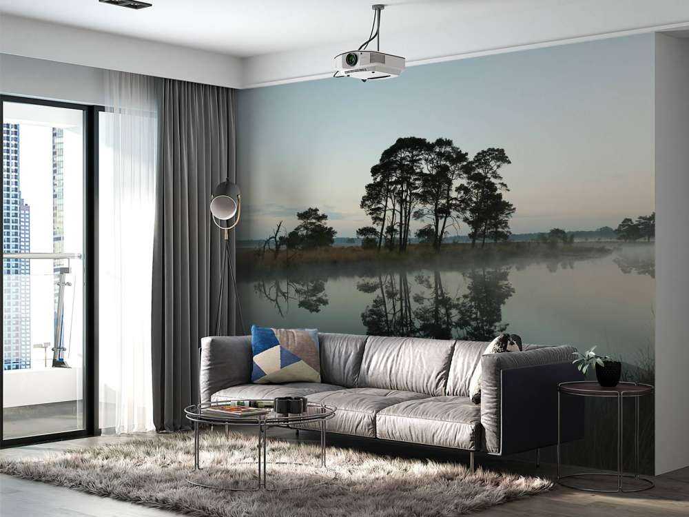 Drzewa wzdłuż lasów