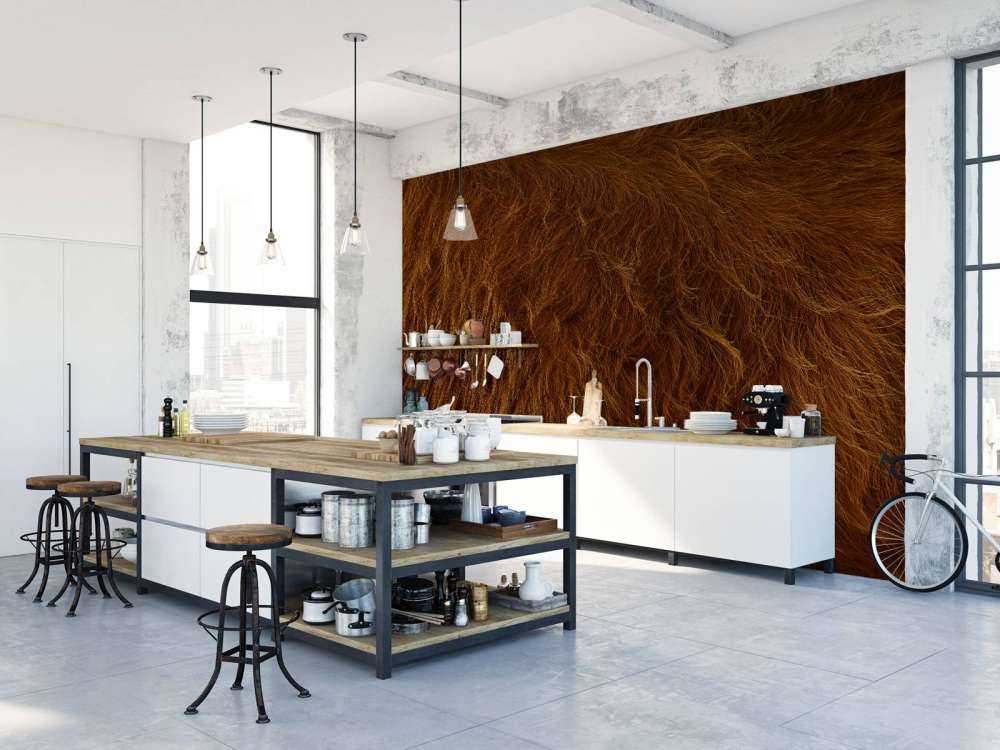 Sierść szkockiego wyżynna