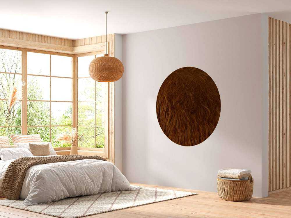 Sierść szkockiego wyżynna