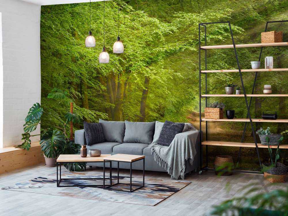 Ropucha w lesie z promieniami słońca