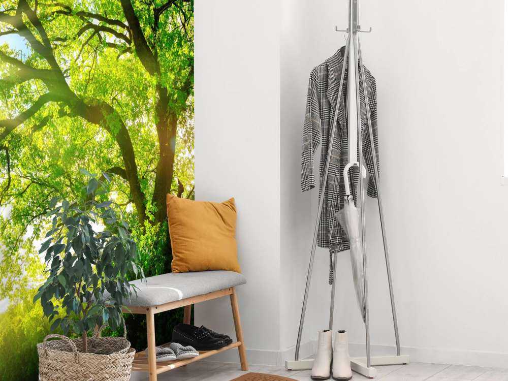 Drzewo z promieniami słońca