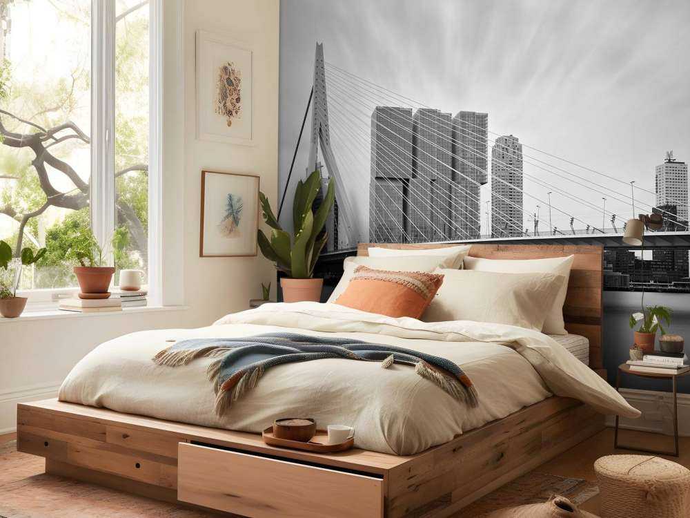 Mostek Erasmusa czarno-biały 