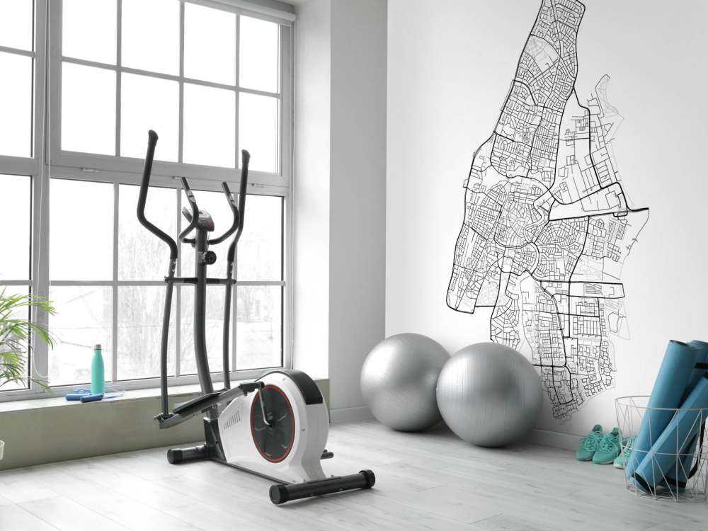 Mapa Haarlemu, biała