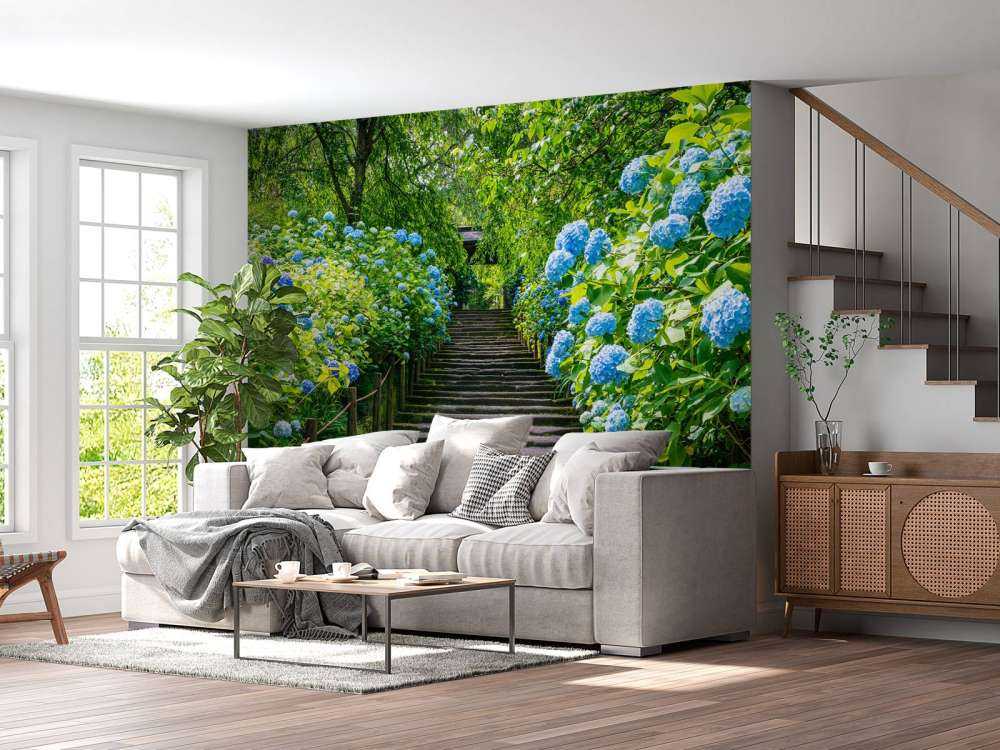 Schody między hortensjami