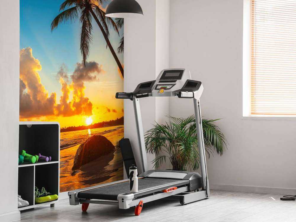 Zachód słońca z palmami