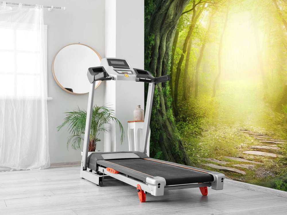 Kamienna ścieżka przez las