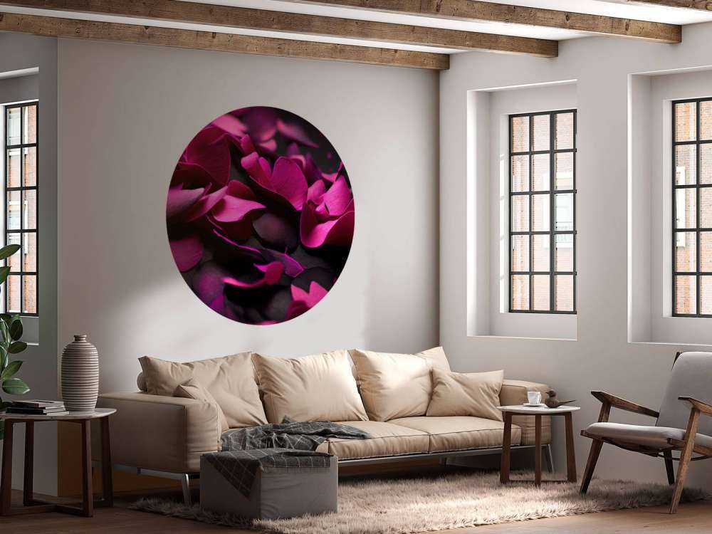 Ciemnoróżowe hortensje