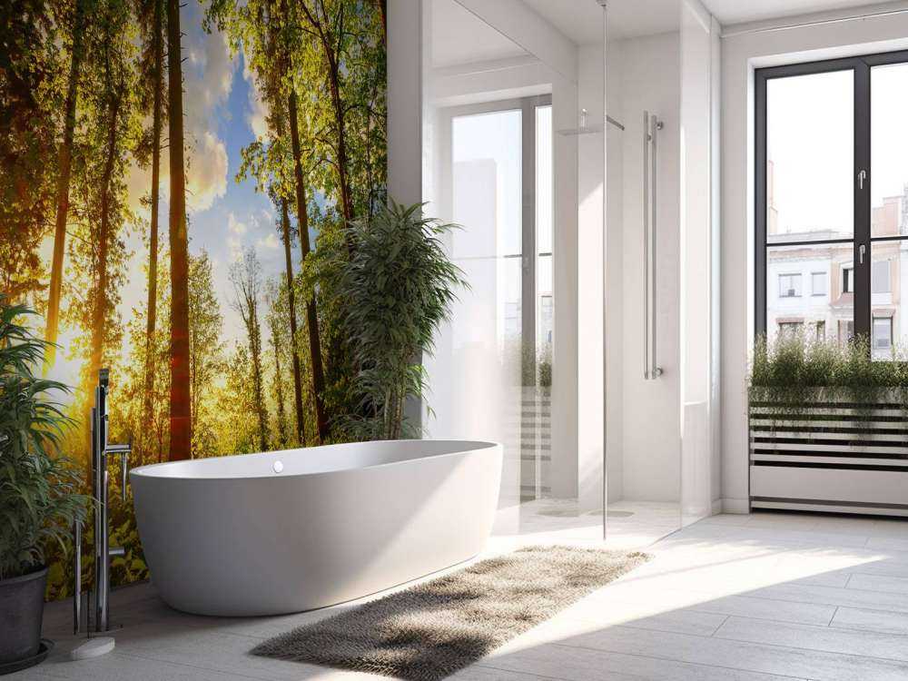 Zachód słońca wśród drzew