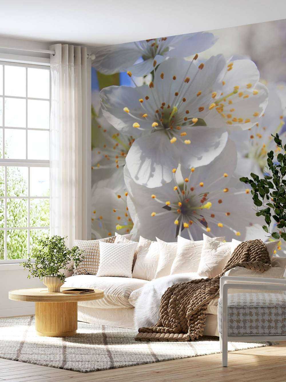 Zbliżenie na białe kwiaty