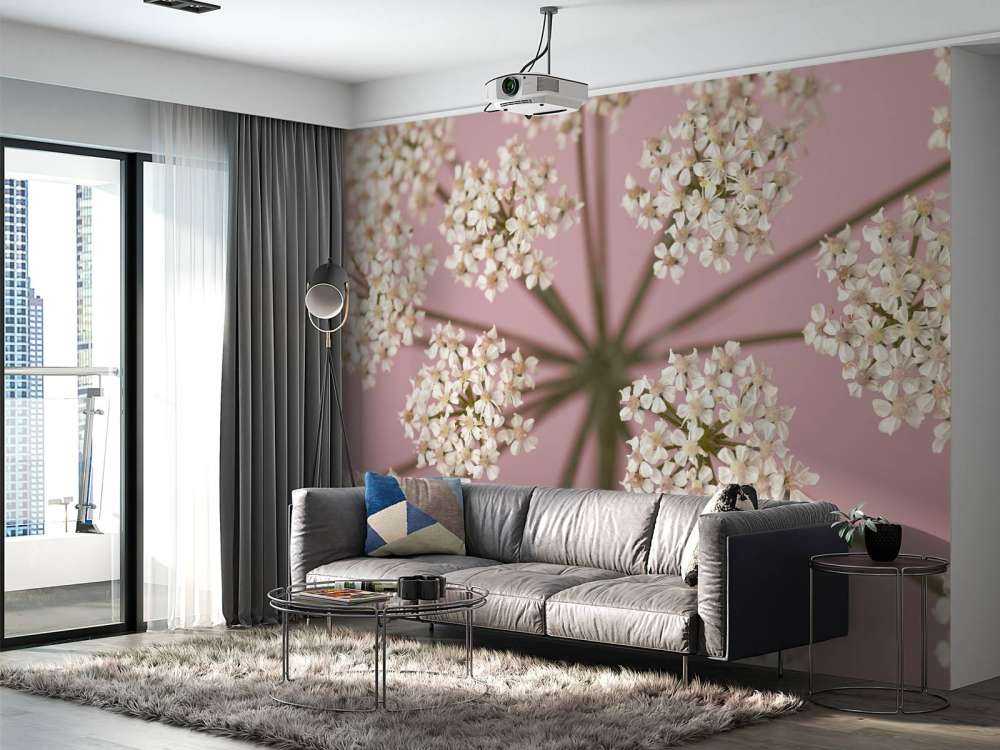 Pietruszka białej krowy