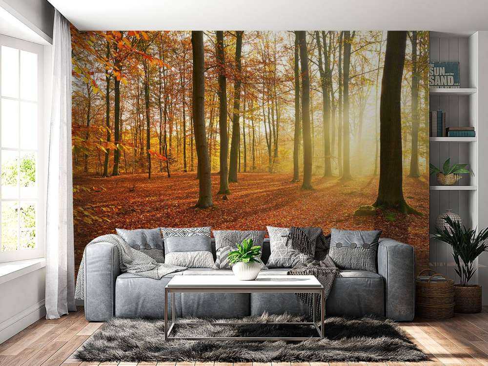 Jesienny poranek w lesie