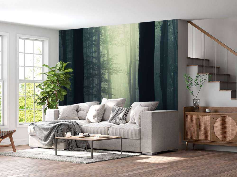 Promień słońca w lesie