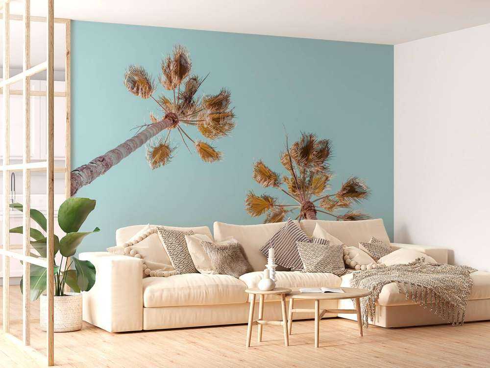 Palmy z niebieskim niebem